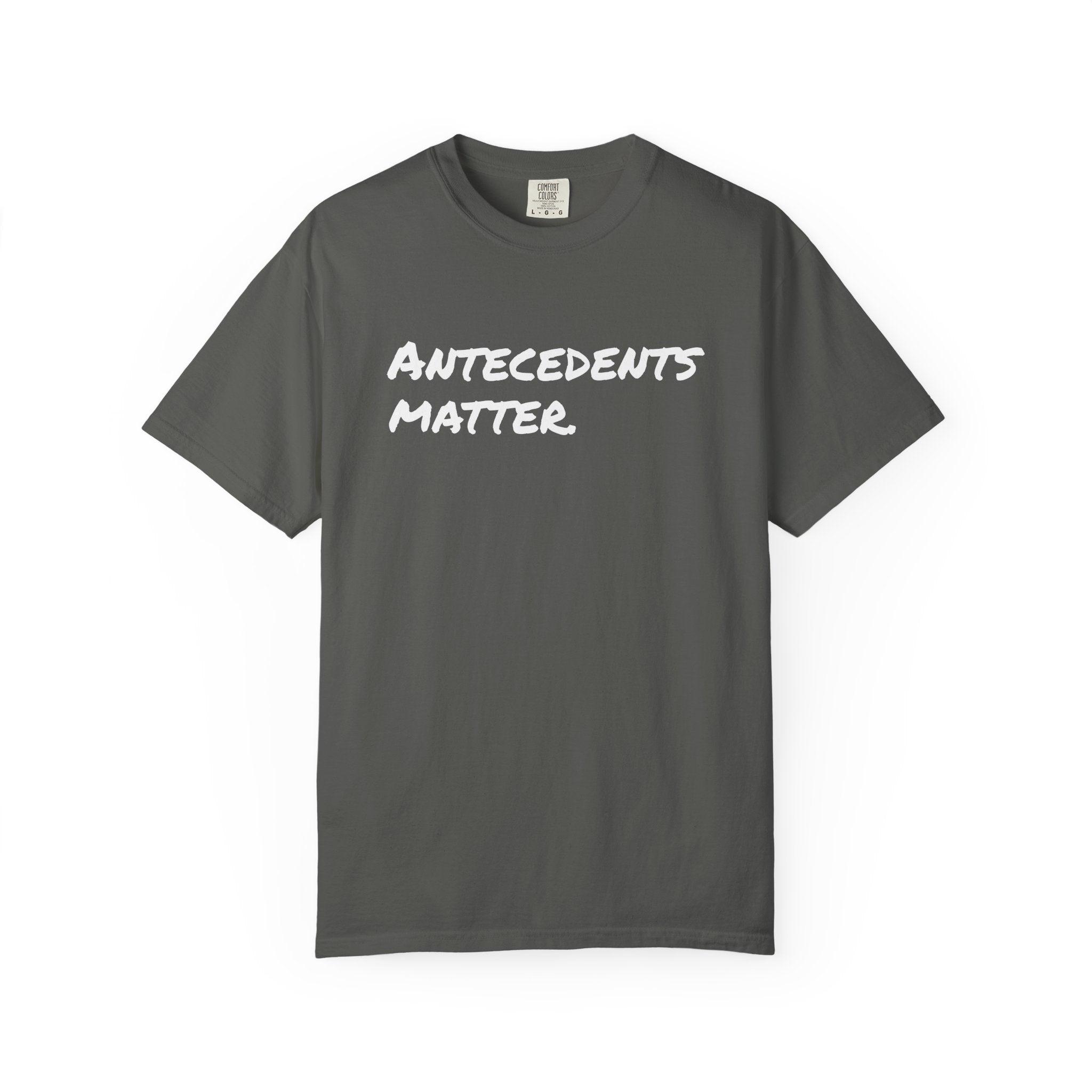 Antecedents Matter T-Shirt