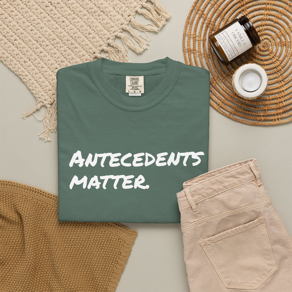 Antecedents Matter T-Shirt