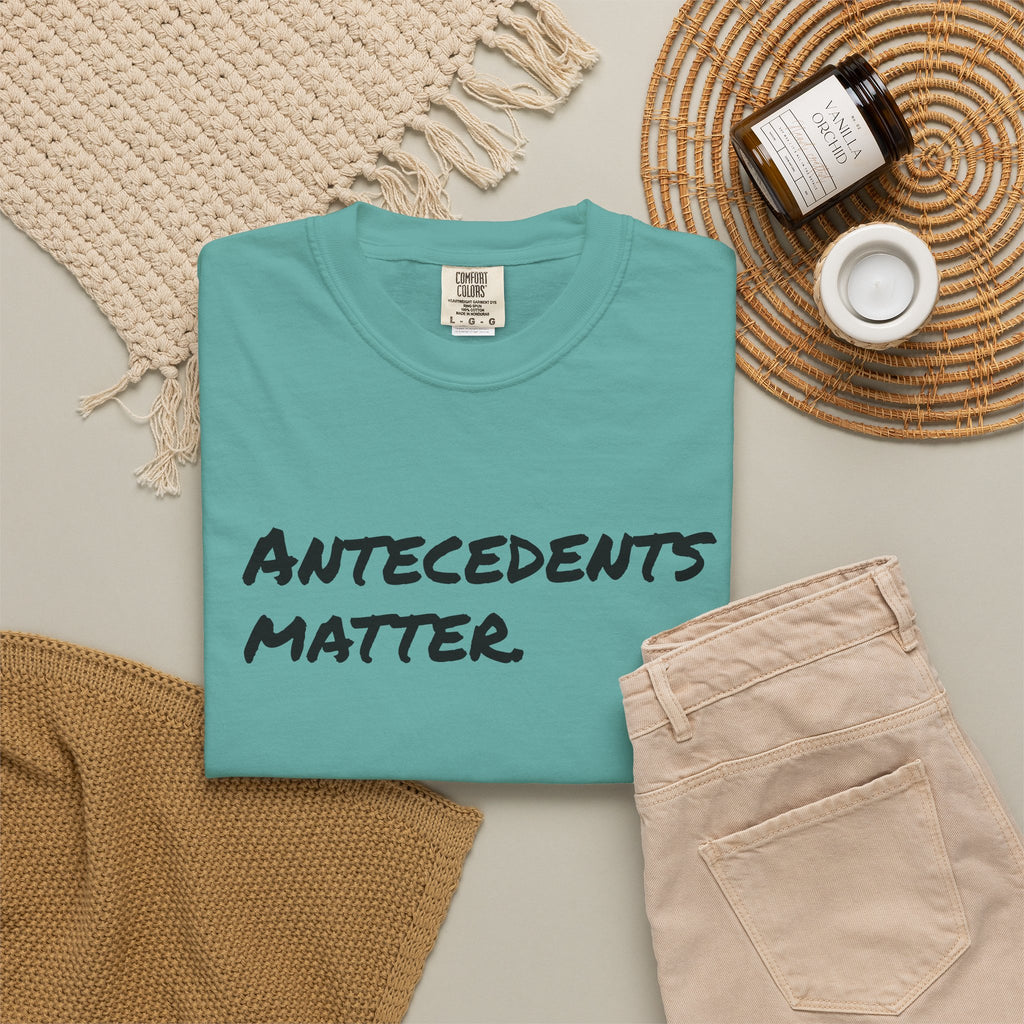 Antecedents Matter T-Shirt