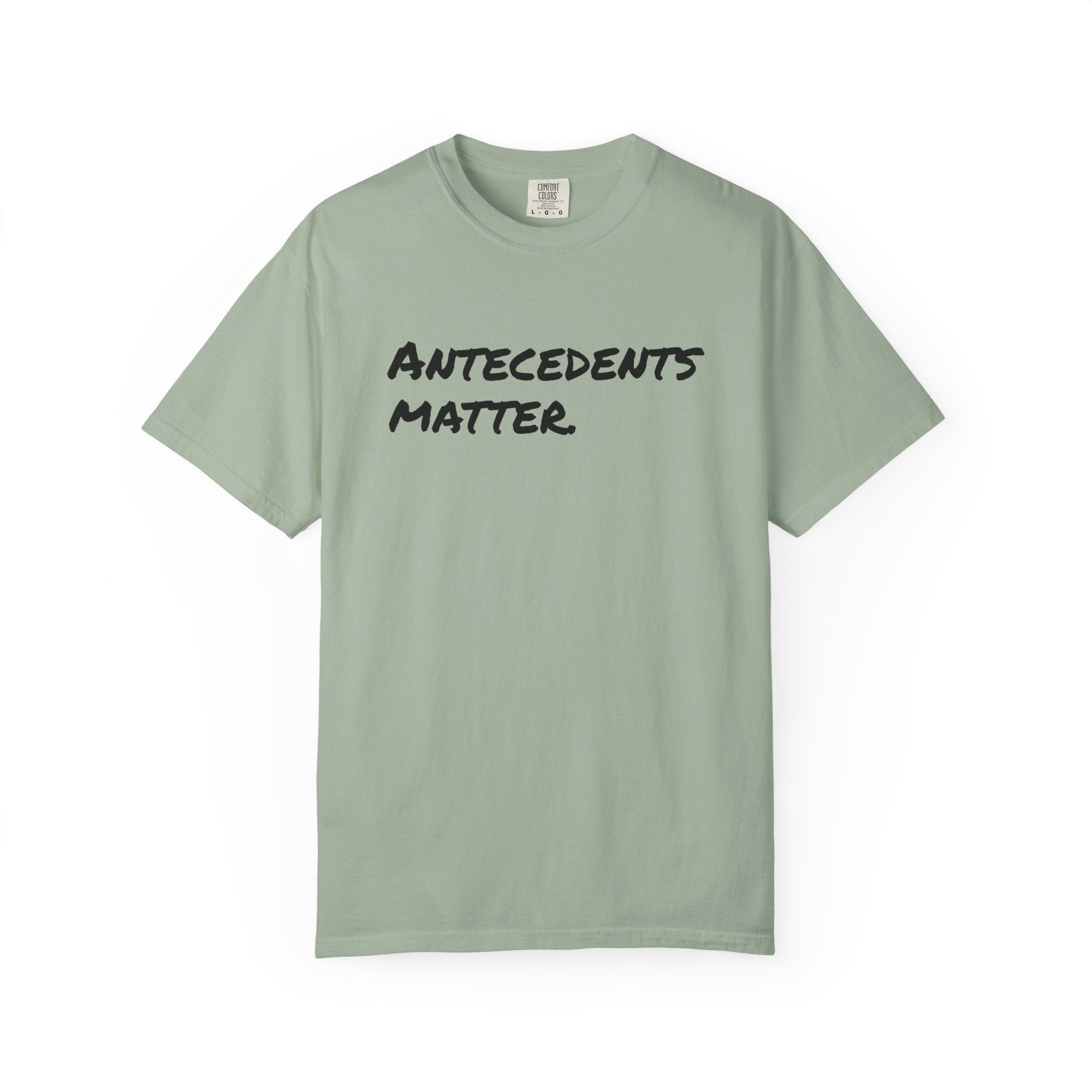 Antecedents Matter T-Shirt