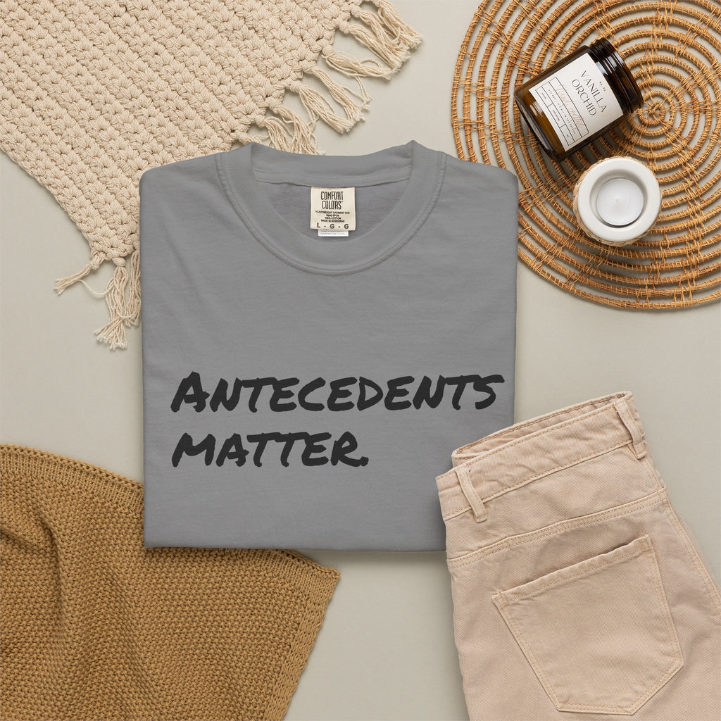Antecedents Matter T-Shirt