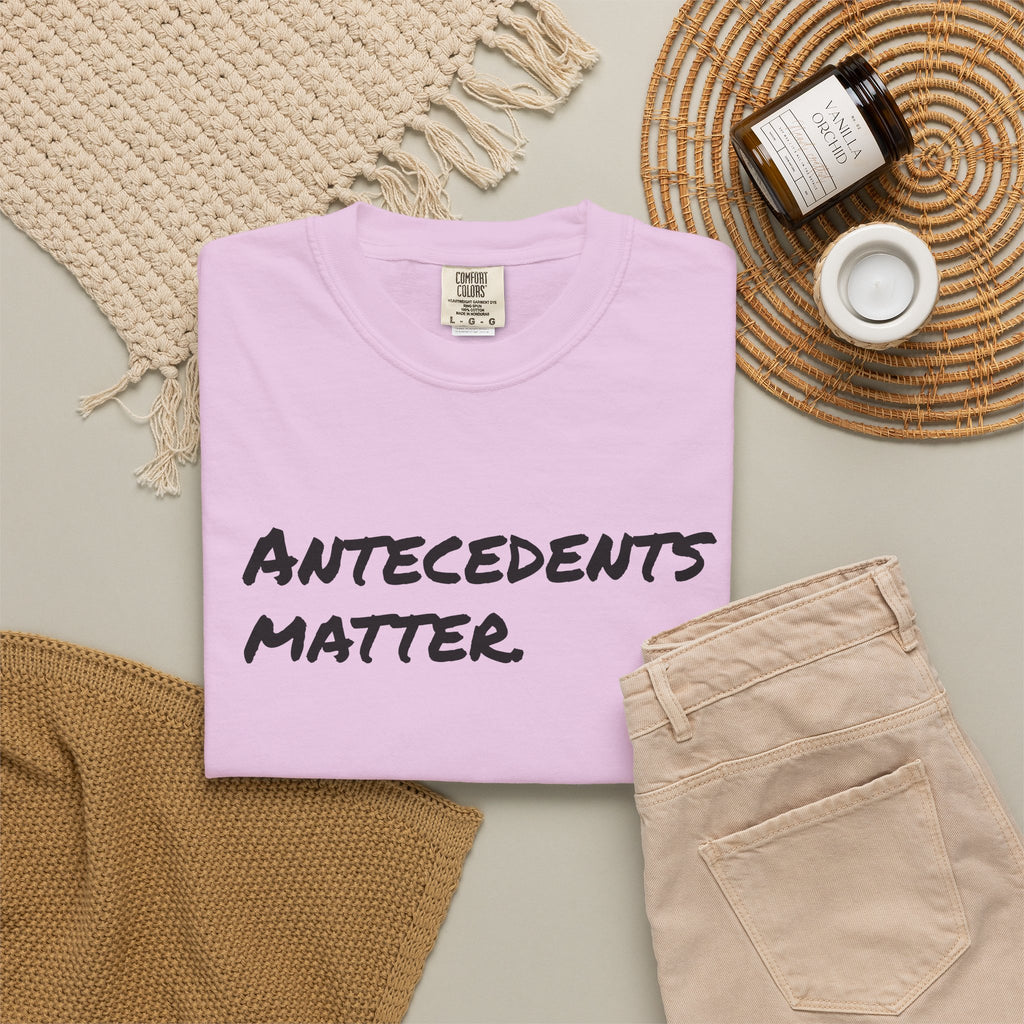 Antecedents Matter T-Shirt