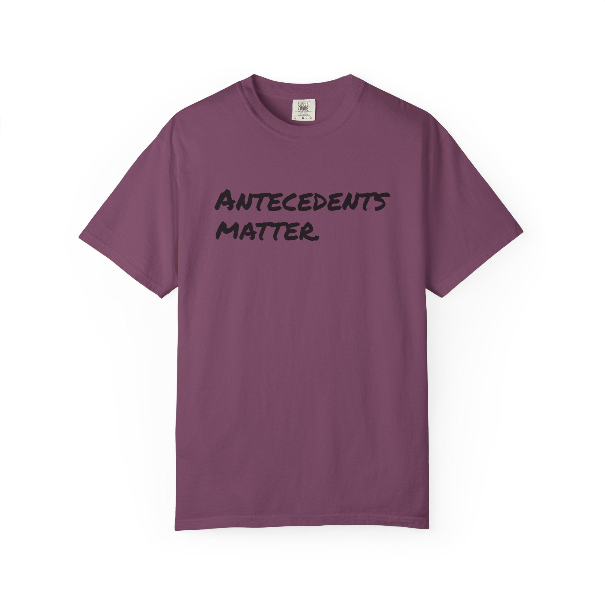 Antecedents Matter T-Shirt