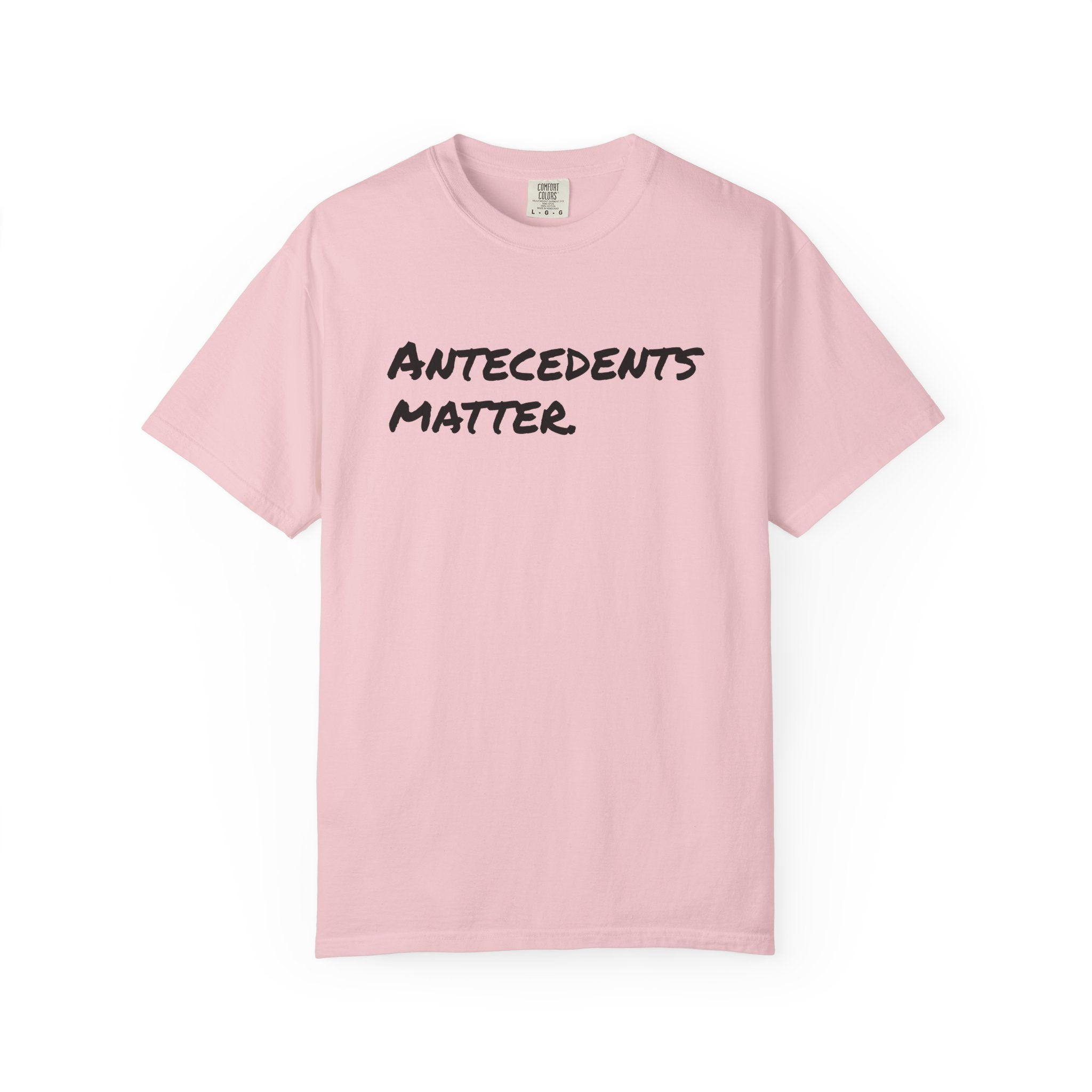 Antecedents Matter T-Shirt