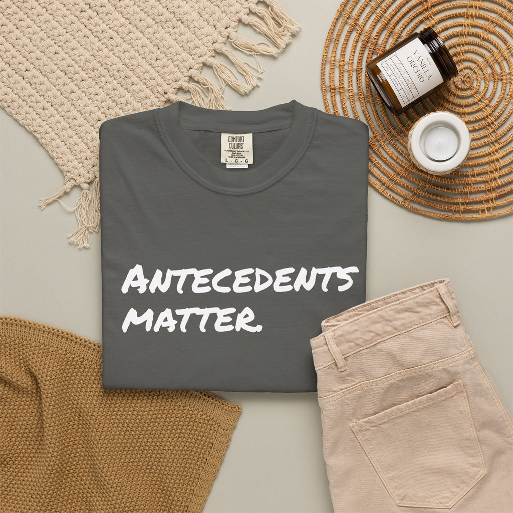 Antecedents Matter T-Shirt