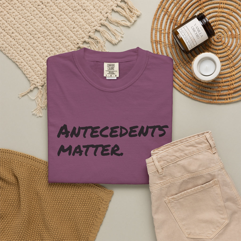Antecedents Matter T-Shirt